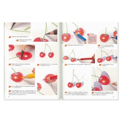 リアル色鉛筆レッスン 日貿出版社 色塗り レッスン本[55000312]