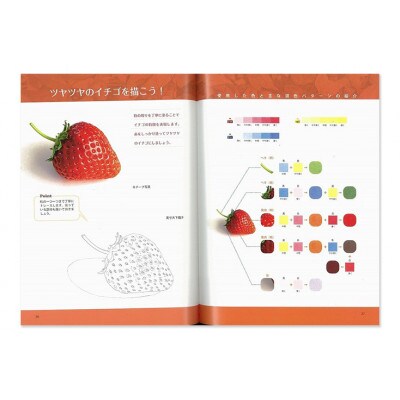 リアル色鉛筆混色レシピ 日貿出版社 書籍 色塗り レッスン本[55000314]