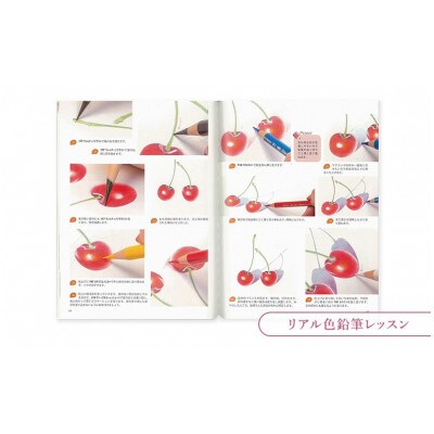 リアル色鉛筆レッスン本3点セット 日貿出版社 書籍 色塗り 混色[55000315]
