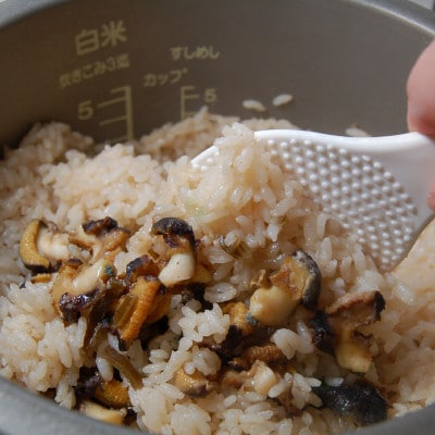 魚屋さんこだわりの炊き込み飯の素(サザエ・穴子の2種)