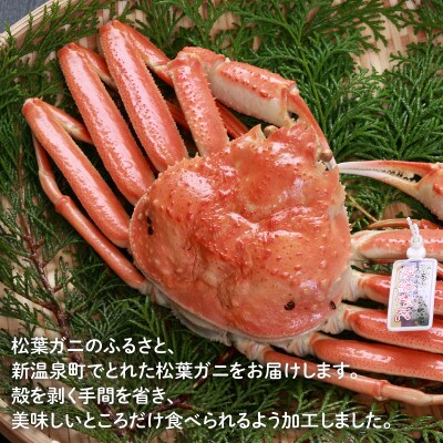 松葉ガニの名産地　但馬浜坂の松葉ガニ夫婦Aセット