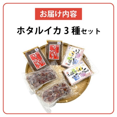 ほたるいかAセット