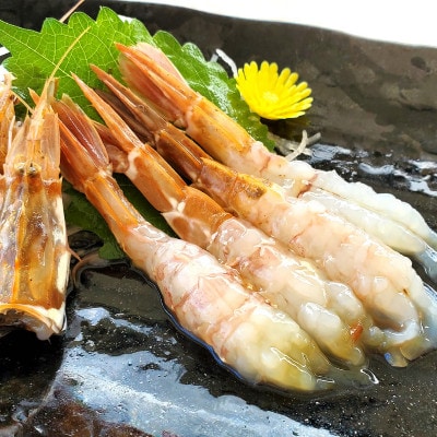 山陰地エビ2種食べ比べセット　計1kg以上(甘エビ・ガラエビ)