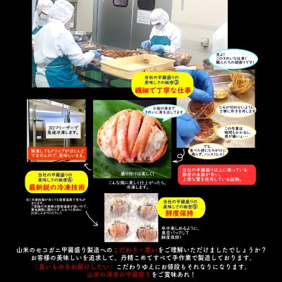 【先行予約】セコガニ甲羅盛り　大サイズ　3個【五つ星ひょうご選定品】