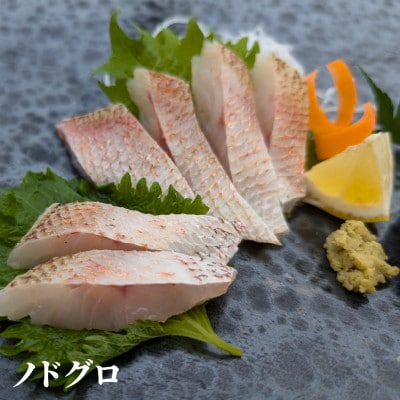お刺身・しゃぶしゃぶ用ノドグロ・クエ