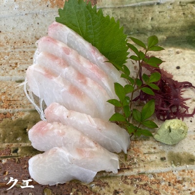 お刺身・しゃぶしゃぶ用ノドグロ・クエ