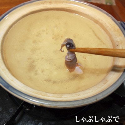 旬凍結ホタルイカ　小分け約250g×4パック　生食可　お刺身 しゃぶしゃぶに