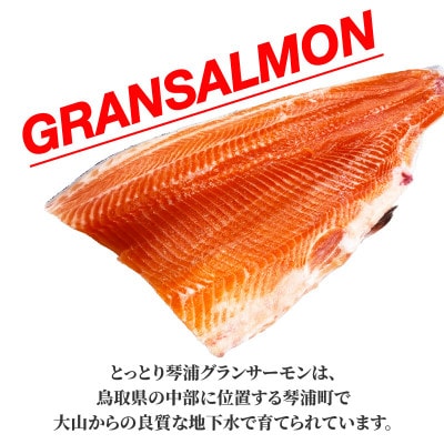国産とっとり琴浦グランサーモン刺身用　400g訳あり