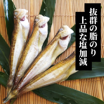 山陰名産　ハタハタ一夜干し　500g