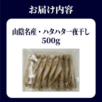 山陰名産　ハタハタ一夜干し　500g