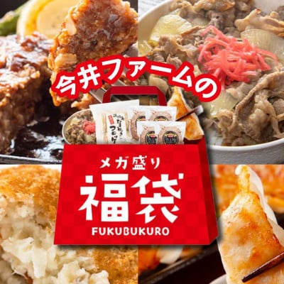 今井ファームのメガ盛り冷凍福袋