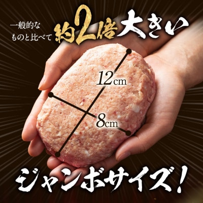 淡路島たまねぎどっさりジャンボハンバーグ 200g×6個