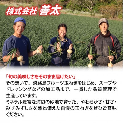 熟成フルーツ玉ねぎ8kg【サイズ色々】