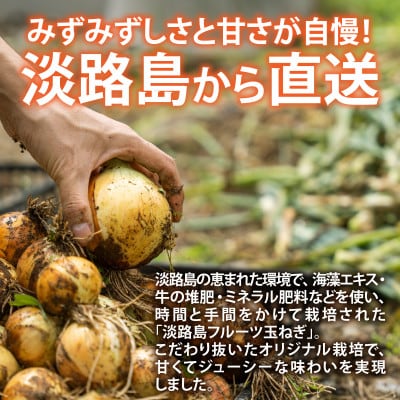 【先行予約】新玉フルーツ玉ねぎ8kg【サイズ色々】 ※2027年3月上旬より順次発送