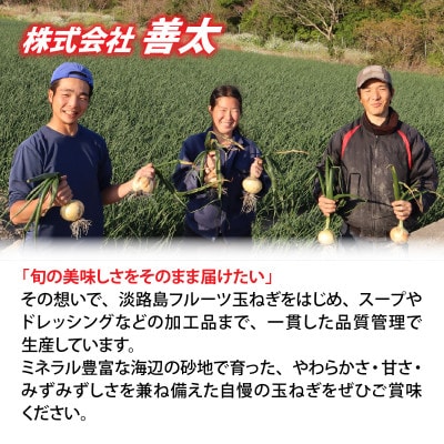 【先行予約】新玉フルーツ玉ねぎ8kg【サイズ色々】 ※2027年3月上旬より順次発送
