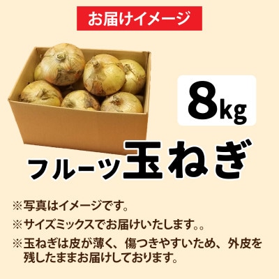 【先行予約】新玉フルーツ玉ねぎ8kg【サイズ色々】 ※2027年3月上旬より順次発送