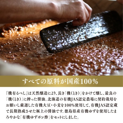 【最速発送】国産有機醤油と有機調味料セット