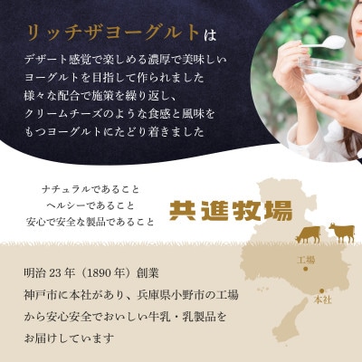 共進牧場 リッチザヨーグルト 400g×6個