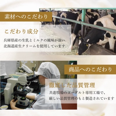 共進牧場 リッチザヨーグルト 400g×6個