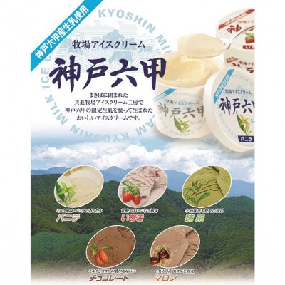 【安定剤・着色料不使用】 共進牧場 牧場アイスクリーム 12個 神戸六甲 アイスギフトセット