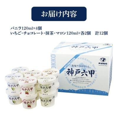 【安定剤・着色料不使用】 共進牧場 牧場アイスクリーム 12個 神戸六甲 アイスギフトセット
