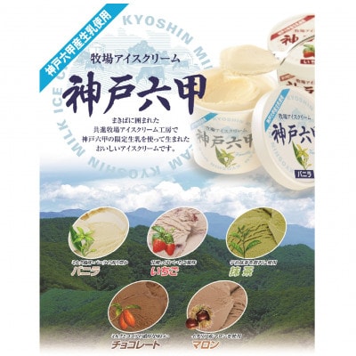 【安定剤・着色料不使用】 共進牧場 牧場アイスクリーム 10個 神戸六甲 アイスギフトセット