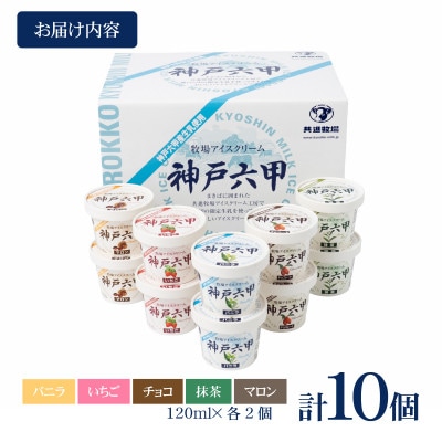 【安定剤・着色料不使用】 共進牧場 牧場アイスクリーム 10個 神戸六甲 アイスギフトセット