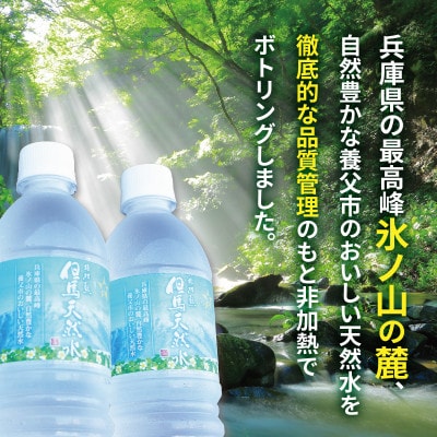 但馬の天然水 550mlペットx48本(2ケース)【複数個口で配送】