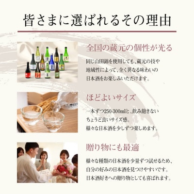 兵庫県産米を使用した日本酒の飲み比べセット(250ml ～ 300ml × 計12本)