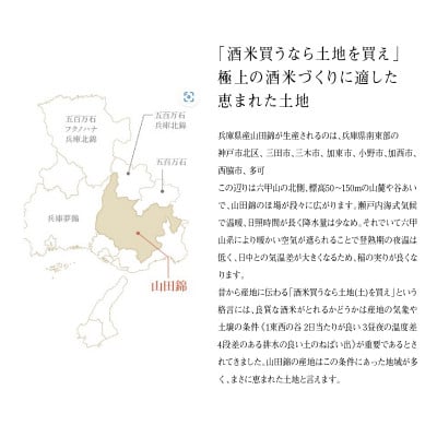 兵庫県産米を使用した日本酒の飲み比べセット(250ml ～ 300ml × 計12本)