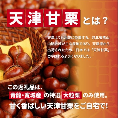 【先行予約】 天津甘栗 800g 【2025年10月下旬より順次発送予定】