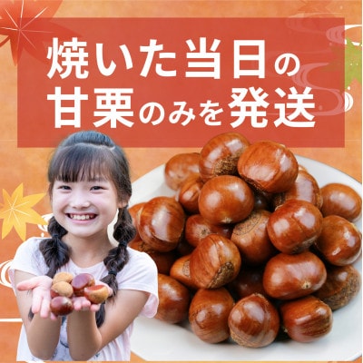 【先行予約】 天津甘栗 4kg 【2025年10月下旬より順次発送予定】