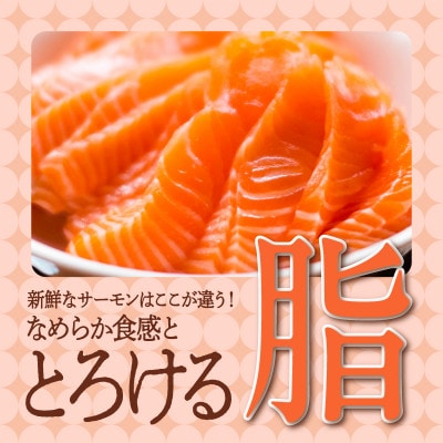 アトランティックサーモン 450g