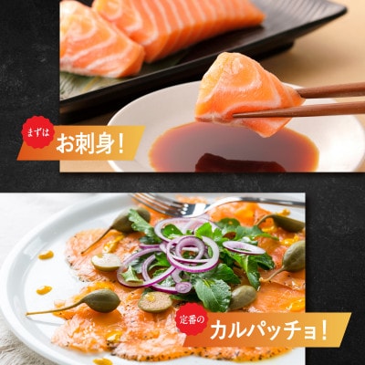 アトランティックサーモン 450g