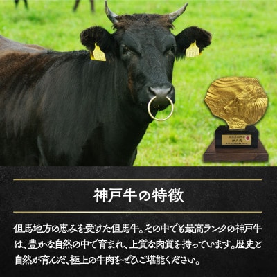 神戸牛訳あり切り落とし(焼肉用)500g