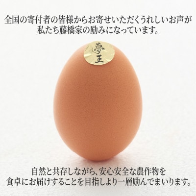 夢王おすそ分けセット　10個入×3パック(30個入)