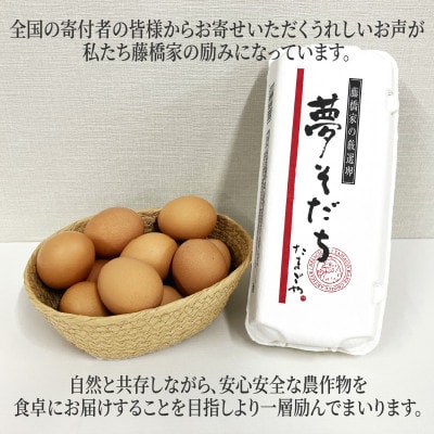 夢そだちおすそ分けセット　10個入×3パック(30個入)