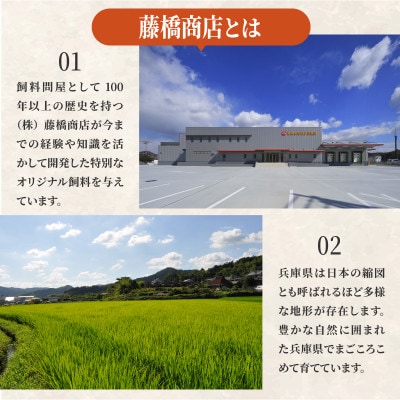 ひょうごの穂々笑実 10kg 箱玉