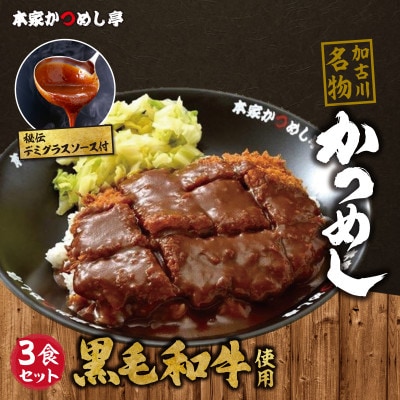 本家かつめし亭のかつめし(3食入り)