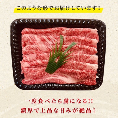 黒毛和牛 ブリスケスライス 800g(400g×2袋)