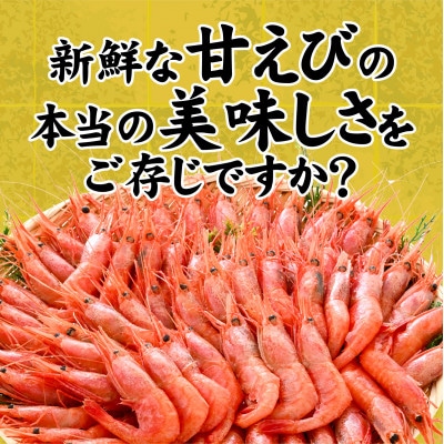 甘えび (大サイズ) 約700g 天然・鮮度抜群!【発泡箱】 船内冷凍 32尾