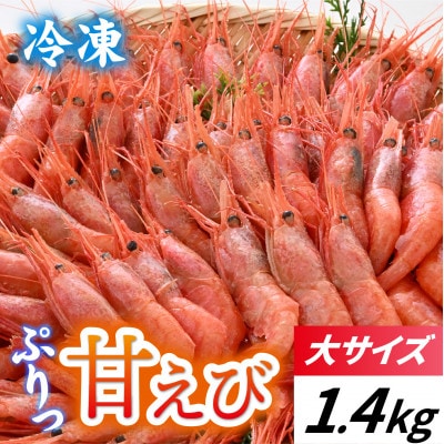 甘えび (大サイズ) 約1,400g 天然・鮮度抜群!【発泡箱】 船内冷凍 64尾