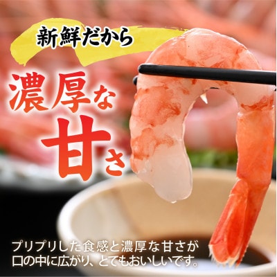 甘えび (大サイズ) 約1,400g 天然・鮮度抜群!【発泡箱】 船内冷凍 64尾
