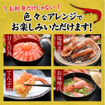 甘えび (大サイズ) 約1,400g 天然・鮮度抜群!【発泡箱】 船内冷凍 64尾