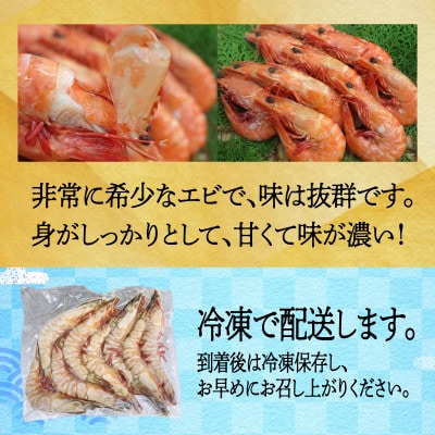 淡路島産天然アシアカ海老2パック約600g