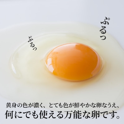 たまごの郷奥丹波 10個×3パック
