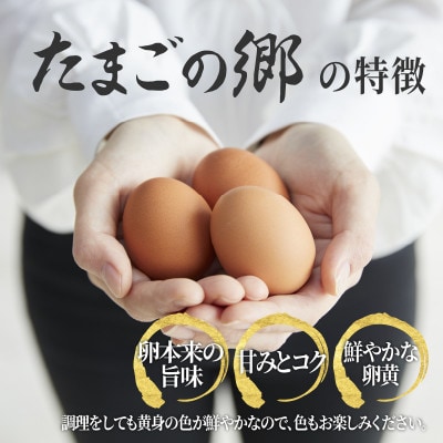 たまごの郷奥丹波 10個×3パック