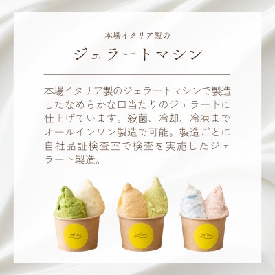 yellowジェラートセット ジェラート 8種 8個 (1個 120ml)