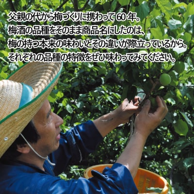 梅酒 美郷露茜 500ml 1本 梅 ブレンド 梅酒 農事組合法人フジ 