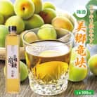 梅酒 美郷竜峡 500ml 1本  梅酒 農事組合法人フジ